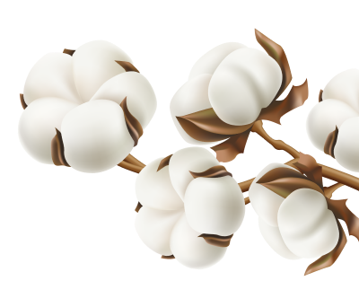 Product photo perfume